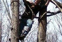 A man climbing up the side of a tree.