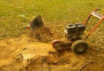 A small tractor is parked in the dirt.